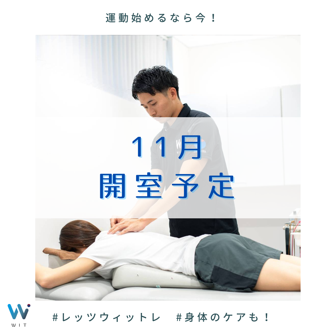 【11月の開室予定】