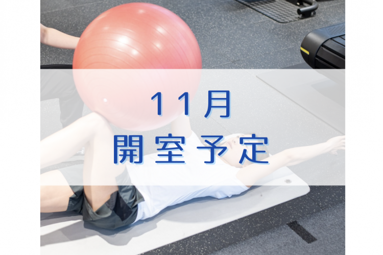 11月の開室予定